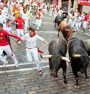 Taxi Férias et Festivals au pays basque