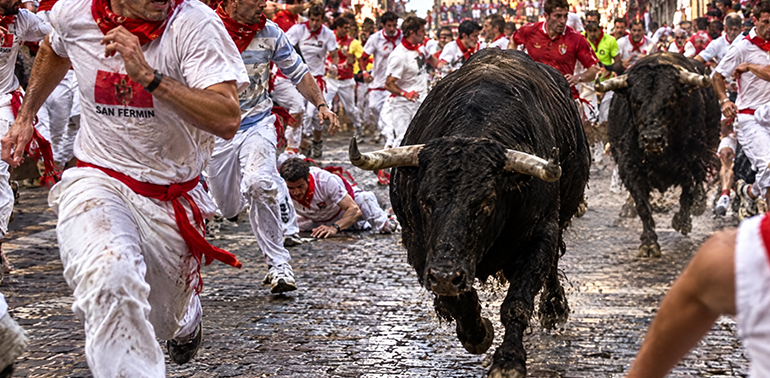 feria pampelune taxi